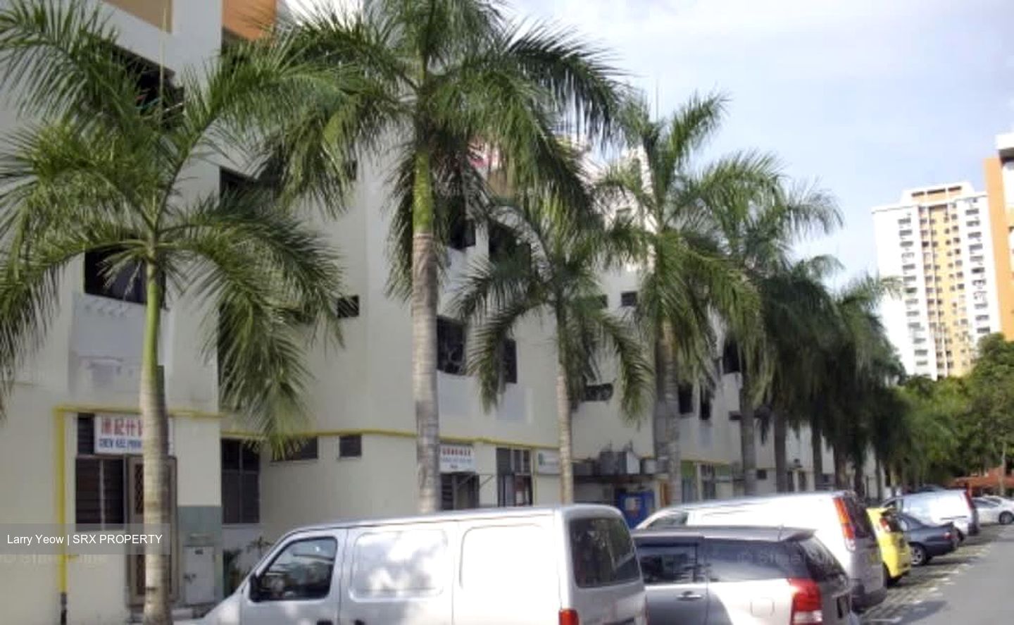 Pandan Gardens (D22), Shop House #529686521